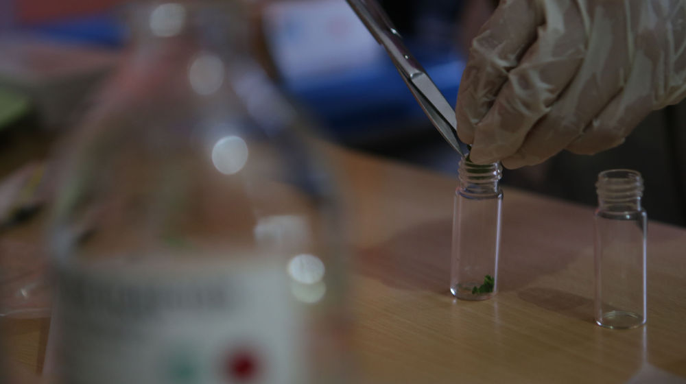 Pengawasan Keamanan Pangan - Panji 6.jpg