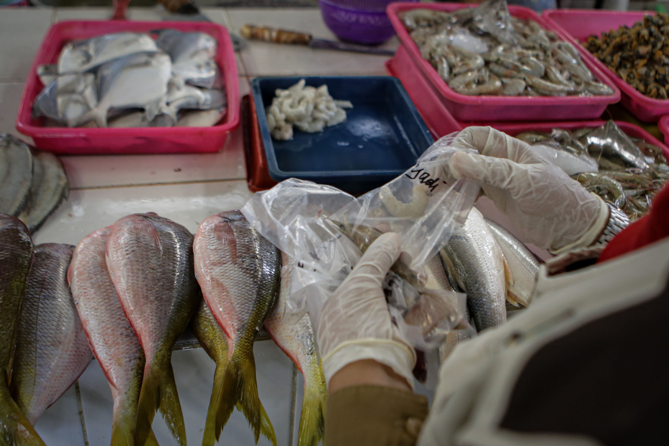 Petugas Dinas Ketahanan Pangan Kota Tangerang melakukan uji sampel makanan di Modern Town Market, Kota Tangerang , Selasa 23 November 2021. Foto : Panji Asmoro/TrenAsia