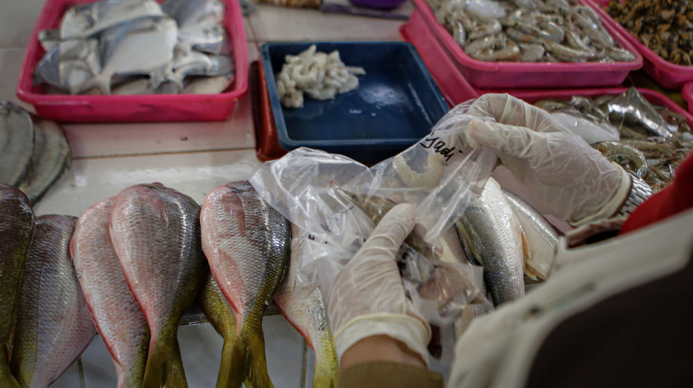 Pengawasan Keamanan Pangan - Panji 7.jpg