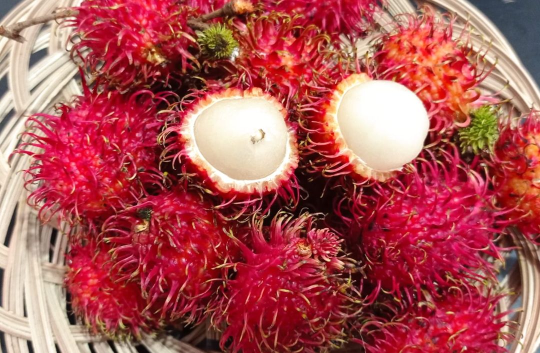 Manfaat rambutan