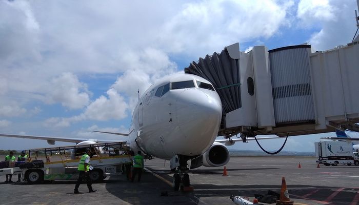 Ilustrasi maskapai Garuda Indonesia
