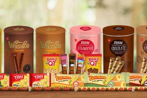 wafer PT Jaya Swarasa Agung Tbk.jpg