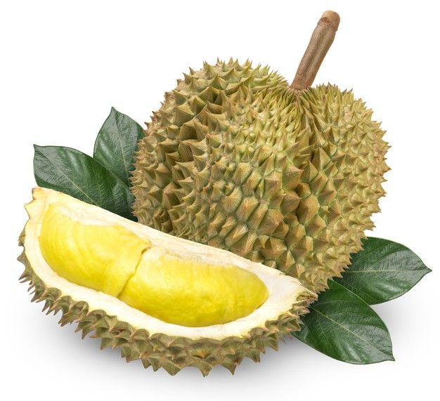 <p>Korean Artists Like To Eat Durian</p>
