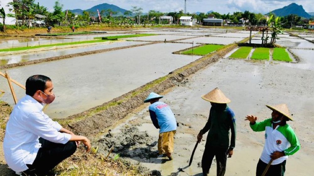 Stok Aman, Jokowi Belum Pernah Impor Beras Tahun Ini.jpg