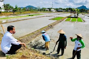 Stok Aman, Jokowi Belum Pernah Impor Beras Tahun Ini.jpg