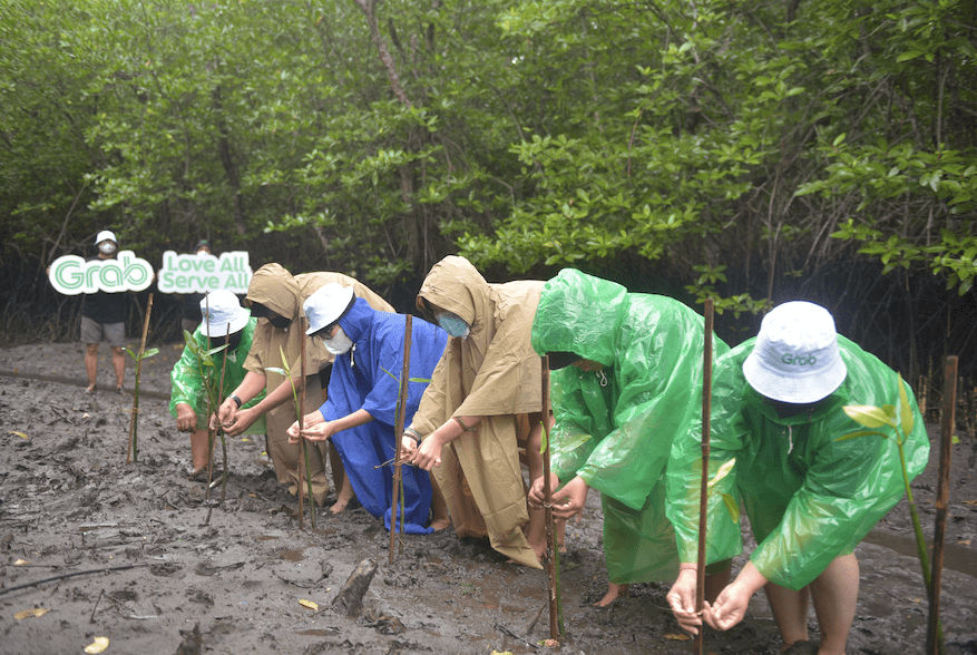 Grabbers dan para mitra melakukan penanaman 1,000 bibit mangrove, sejalan dengan komitmen jangka panjang #LangkahHijau, yang bertujuan untuk mencegah erosi dan abrasi di pantai akibat gempuran gelombang laut.  