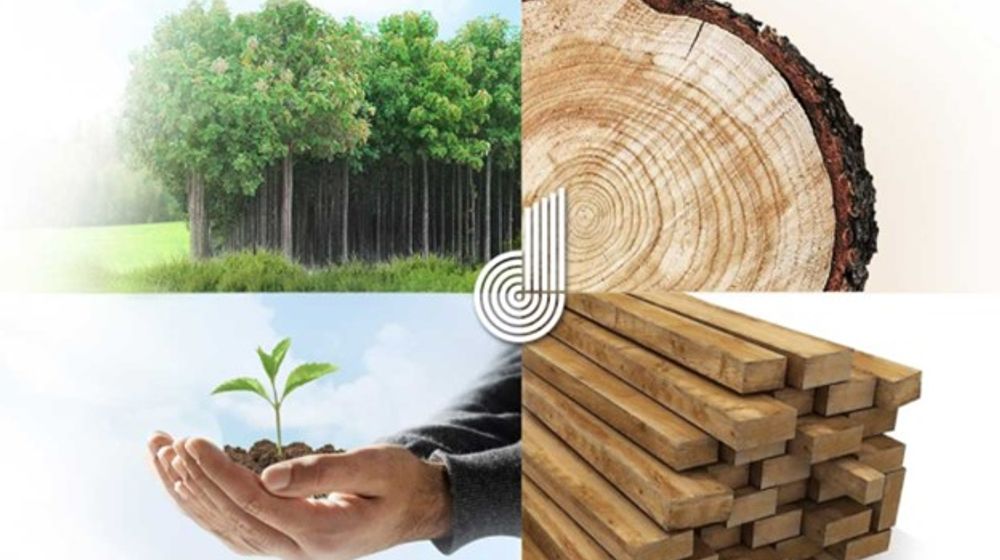 Darmi Bersaudara.jpg