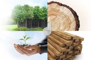 Darmi Bersaudara.jpg