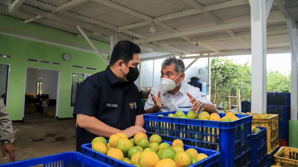 WhatsApp Image 2021-12-08 at 11.57.07 AM.jpeg