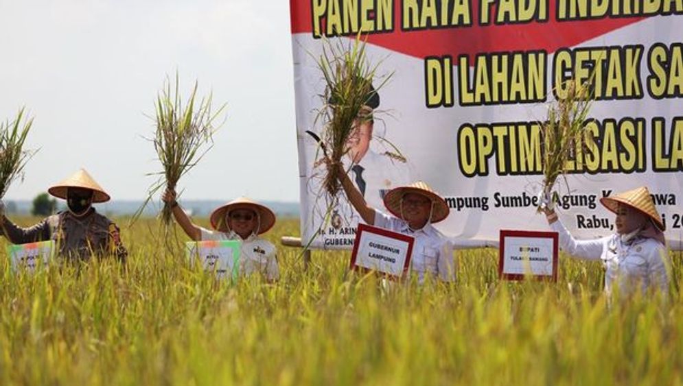 Launching KPB dilakukan bersamaan dengan kegiatan Panen Raya di Kampung Sumber Agung, Kecamatan Rawapitu, Tulang Bawang, Rabu (19/5/2021).
