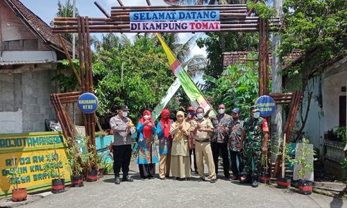 KAMPUNG TOMAT.jpeg