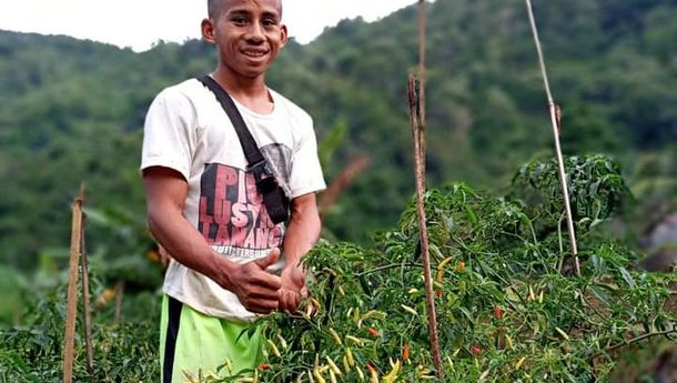 Kisah Ewak, Petani Milenial di Manggarai: Jangan Tidur di Waktu yang Kosong