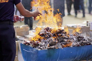 Tidak Main-main, Bea Cukai Musnahkan Jutaan Batang Rokok Ilegal Bernilai Miliaran Rupiah.jpg