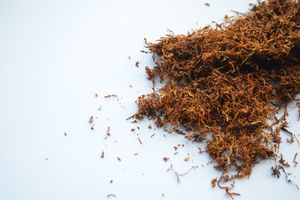 Ilustrasi - tembakau