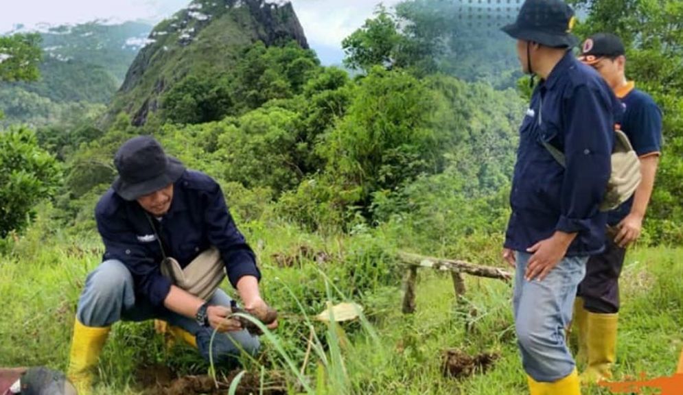 Penanaman pohon di Desa Gembuk