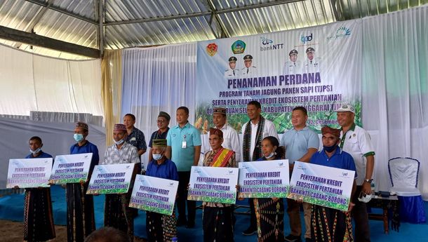 Bank NTT Mendukung Pemda Matim Terkait Program TJPS di Desa Ruan Selatan