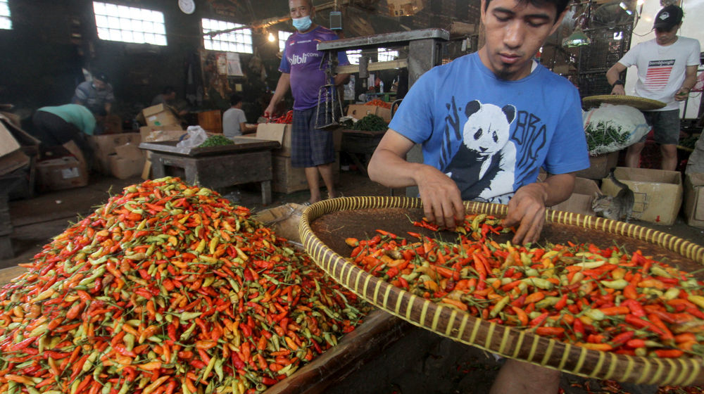 Harga Cabai Naik .jpg