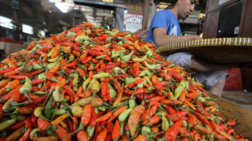 Harga Cabai Naik .jpg