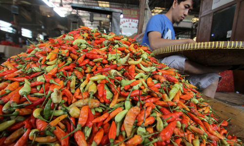 Harga Cabai Naik .jpg