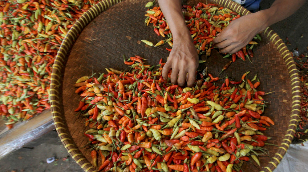 Harga Cabai Naik .jpg