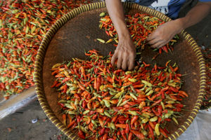 Harga Cabai Naik .jpg