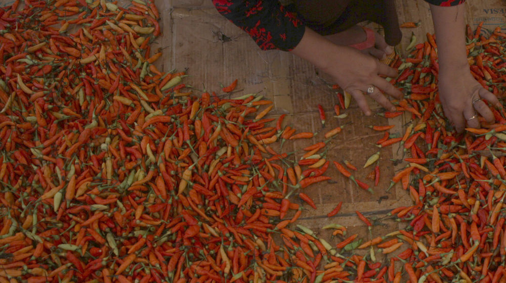 Harga Cabai Naik .jpg