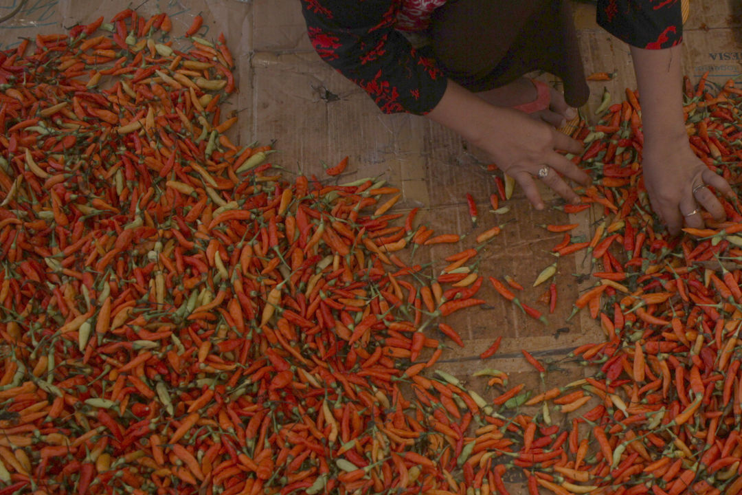 Harga Cabai Naik .jpg
