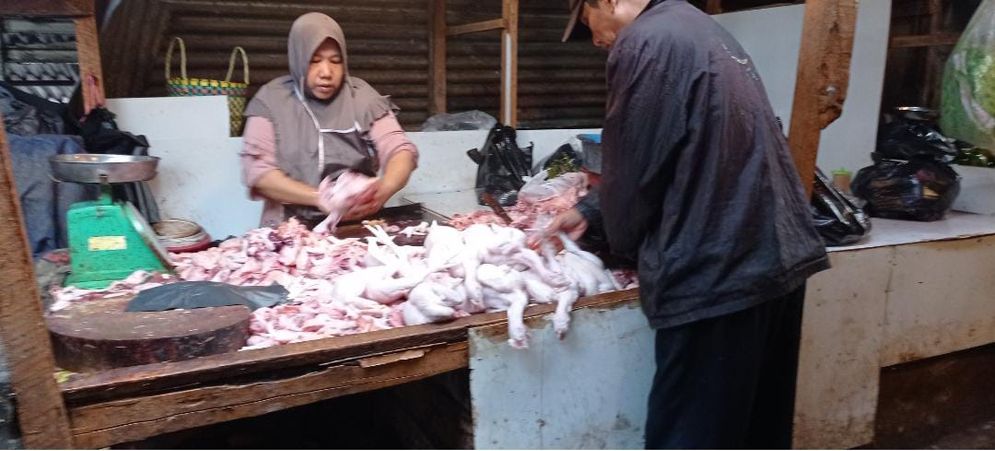 Penjual ayam potong