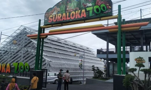 suraloka zoo 1.png