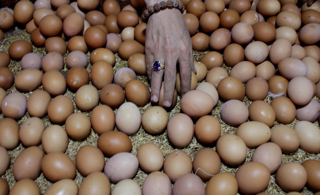 Aktifitas pedagang telur di kawasan Pasar Anyar Kota Tangerang, Senin 27 Desember 2021. Foto : Panji Asmoro/TrenAsia