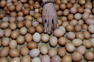 Harga Telur Melonjak Jelang Tahun Baru - Panji 3.jpg