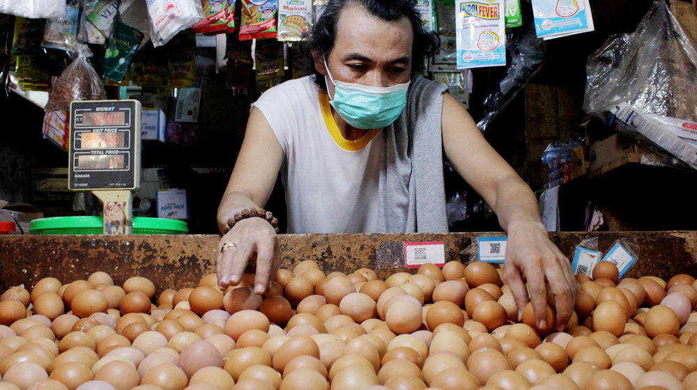 Harga Telur Melonjak Jelang Tahun Baru - Panji 1.jpg