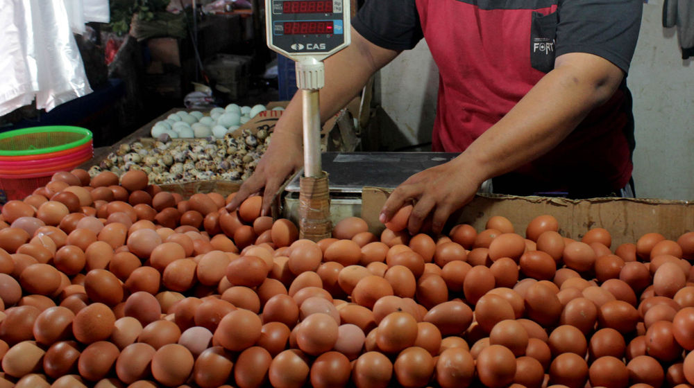 Harga Telur Melonjak Jelang Tahun Baru - Panji 7.jpg