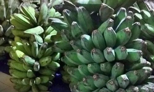 pisang kepok