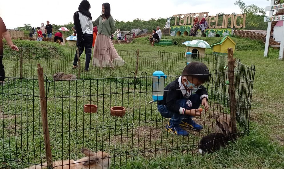 Sejumlah anak bercengkrama dengan kelinci di Taman Kelinci, Yasaman Cindo, Rambutan, Banyuasin, Sumsel