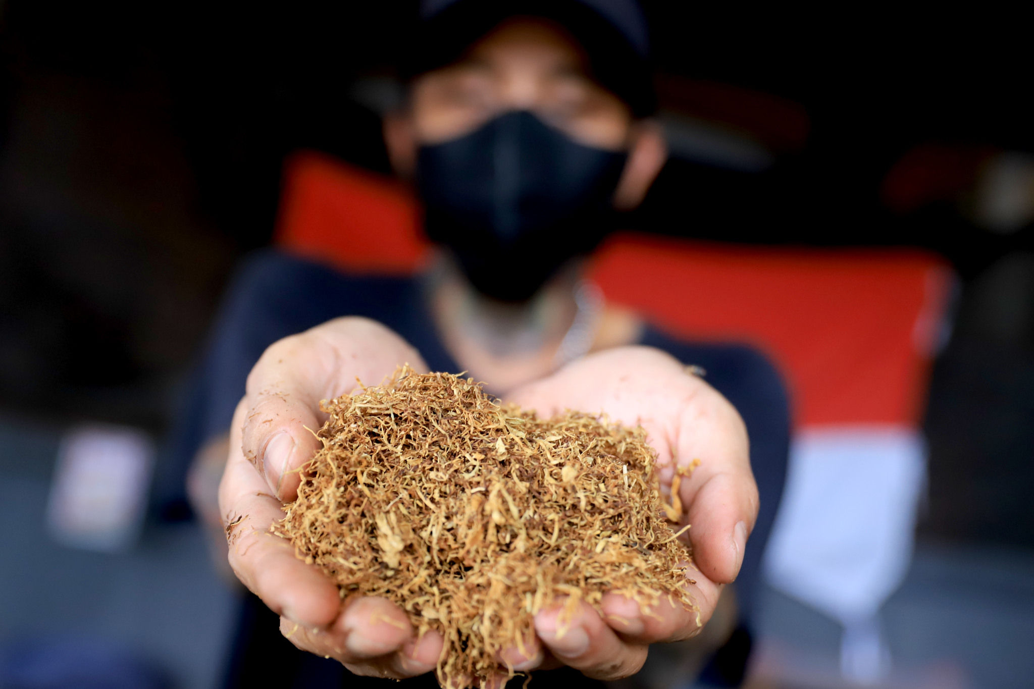 Pekerja menunjukkan tembakau di gerai Kamarasa yang menjual tembakau dengan berbagai varian di kawasan Pondok Cabe, Pamulang, Tangerang Selatan, Rabu, 5 Januari 2022. Foto: Ismail Pohan/TrenAsia