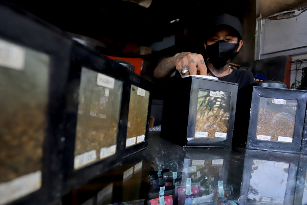 Pekerja merapikan tembakau di gerai Kamarasa yang menjual tembakau dengan berbagai varian di kawasan Pondok Cabe, Pamulang, Tangerang Selatan, Rabu, 5 Januari 2022. Foto: Ismail Pohan/TrenAsia