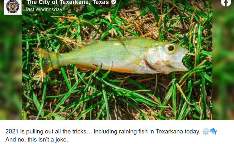 Screenshot_2022-01-05 Rare Weather Event Caused It to Rain Fish in East Texas Last Week.png