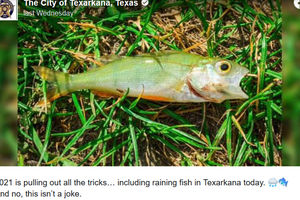 Screenshot_2022-01-05 Rare Weather Event Caused It to Rain Fish in East Texas Last Week.png