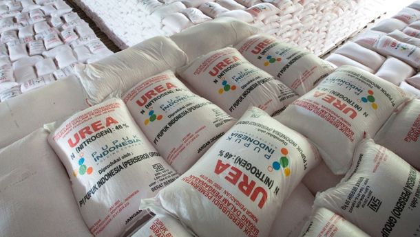 Harga Pupuk Internasional Naik, Produksi Pupuk Indonesia 2021 Turun Tipis