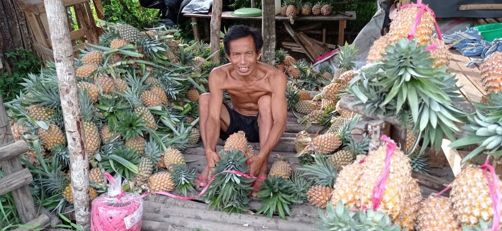 Penjual nanas di Jalan Sudirman Prabumulih