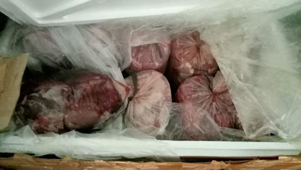 Berpotensi Dioplos, 450 Kg Daging Celeng Ilegal Dimusnahkan