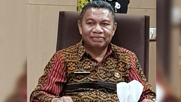 Dominikus Minggu Mere: Sinergi dan Kolaborasi adalah Kunci Sukses Membangun Kabupaten Ende 