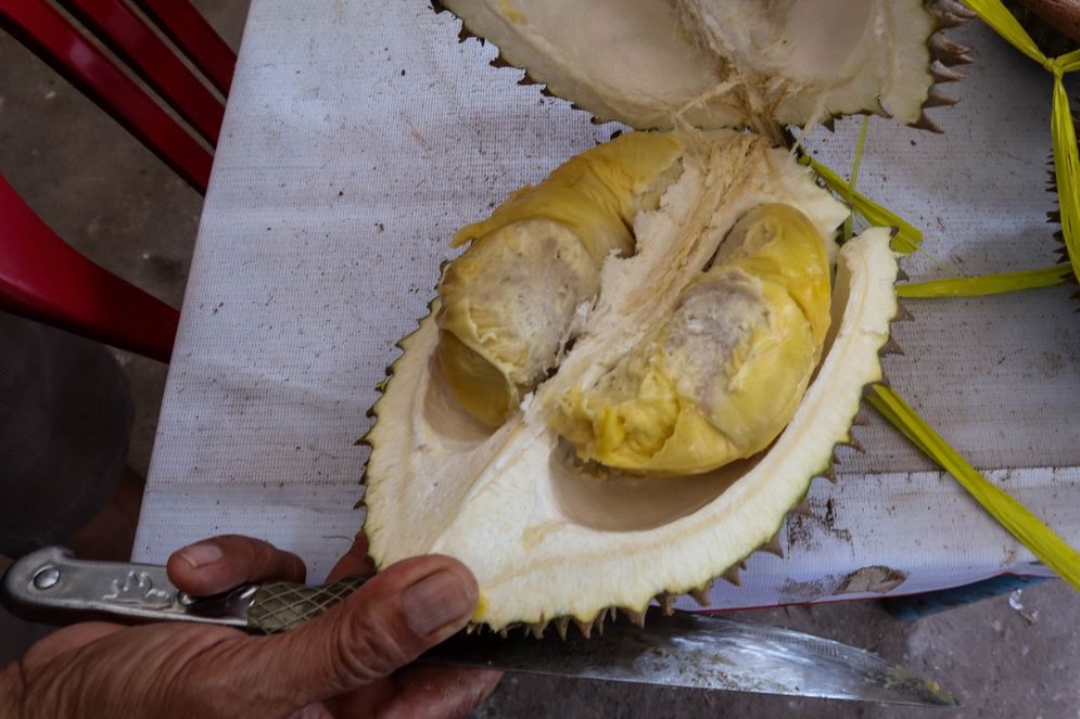 Durian