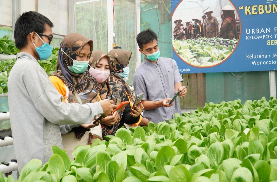 Yeka dan Greg menjelaskan cara kerja aplikasi kepada Kelompok Tani Wanita Serpis.