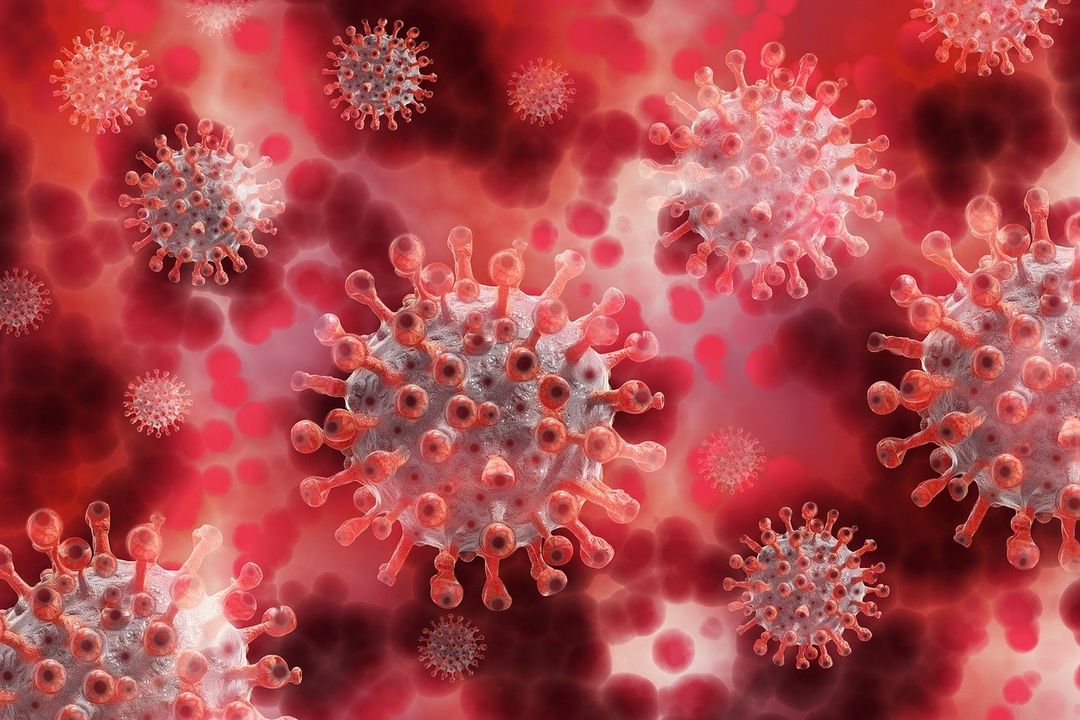 <p>Ilustrasi bvirus Covid-19/Foto: Pixabay</p>