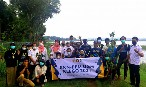 15661--730x420px.jpg