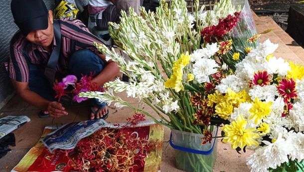 Ramai  Jual Bunga Jelang Imlek, Berikut Ini Makna Anggrek sampai Krisan