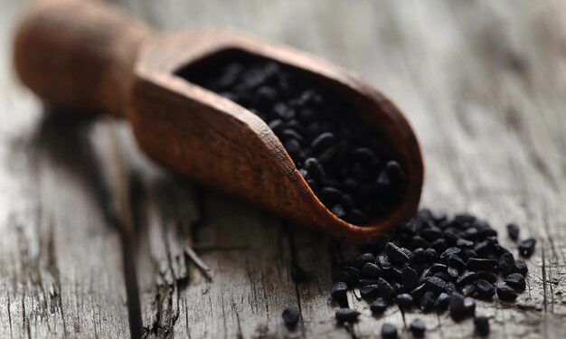 Ilustrasi. Blackseed atau Jinten Hitam (habbatussauda).