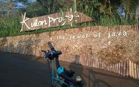 kulon progo.jpg
